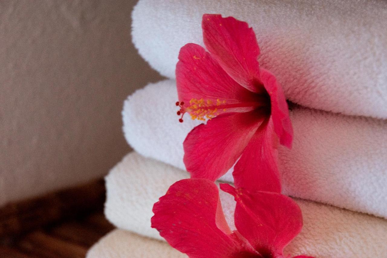 Hotel Casalina Palomino Eksteriør billede